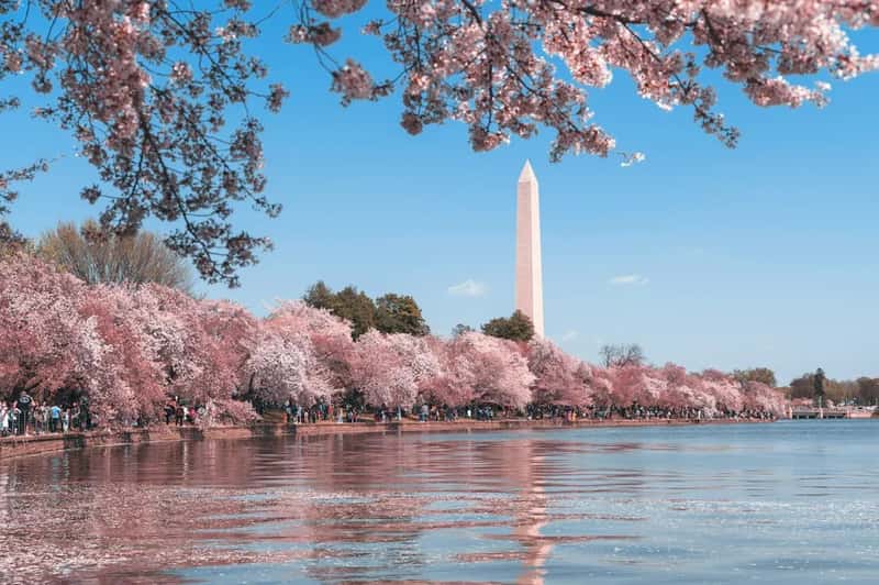 5. Washington, D.C. (Image Credits: Unsplash)