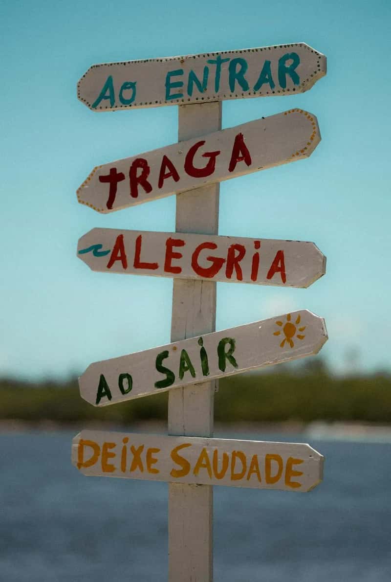 Language and Integration Realities (Image Credits: Unsplash)