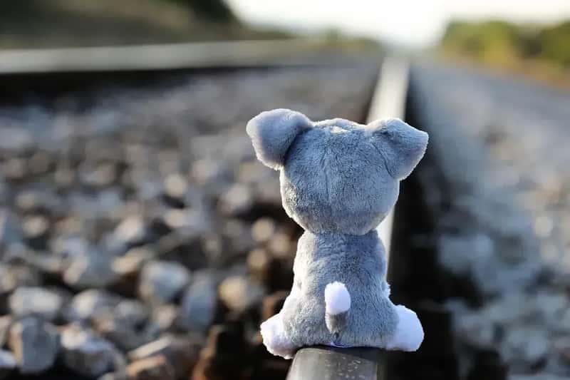 The Path Forward (Image Credits: Pixabay)