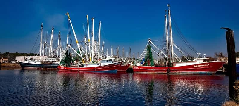 Bayou La Batre, Alabama (Image Credits: Pixabay)