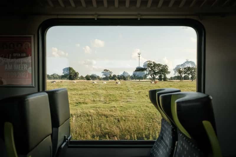 2. Treat the quiet carriage like an actual library (Image Credits: Unsplash)