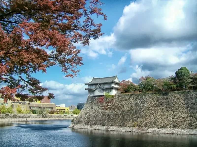 Osaka and Auckland Tie for Seventh (Image Credits: Rawpixel)