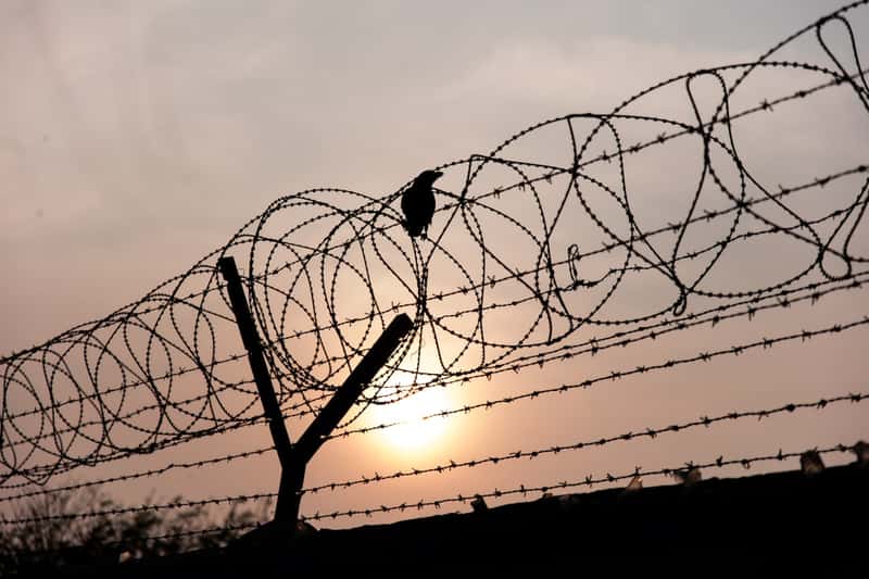 Behind the Barbed Wire (Image Credits: Unsplash)