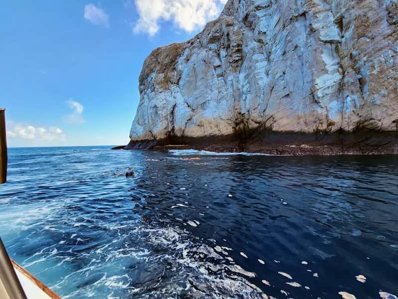 #14 - A Safari in the Galápagos Islands (Image Credits: Unsplash)