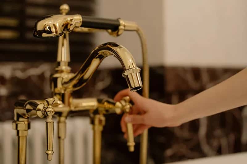 4. Unusual Bathing Rituals Fit for Royalty (Image Credits: Pexels)