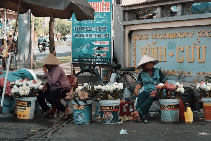 Vietnam: Following a Familiar Regional Playbook (Image Credits: Pexels)