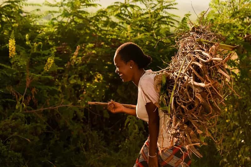 Africa's Wage Crisis (Image Credits: Flickr)