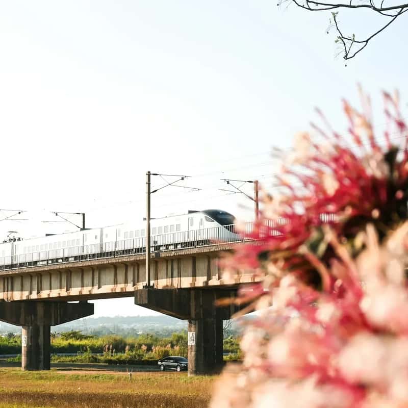 New Trains, Rebuilt Bridges, a Corridor Being Reborn (Image Credits: Unsplash)