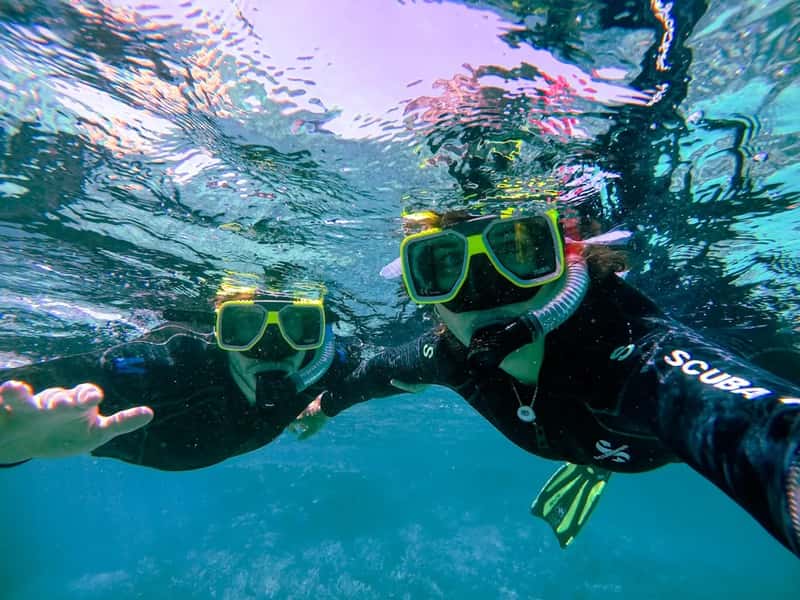 Touching or removing coral from protected reefs (Image Credits: Unsplash)