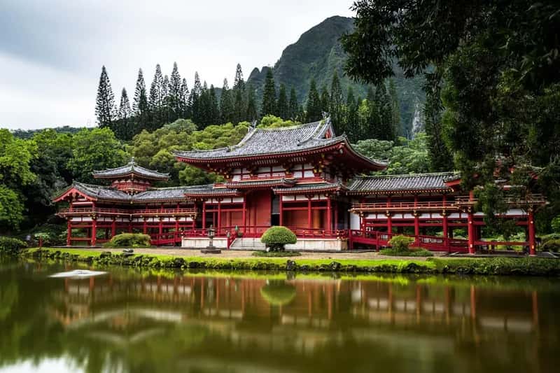 China: The Tea Ceremony Trap (Image Credits: Unsplash)