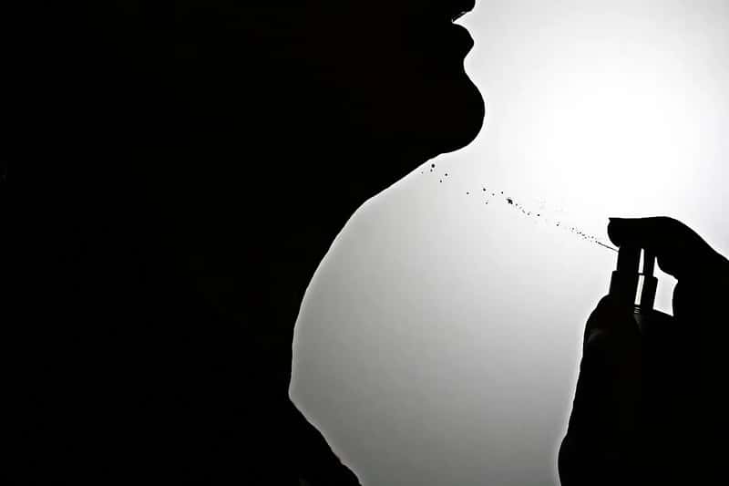 6. Strong Perfume or Heavily Scented Clothing (Image Credits: Pixabay)