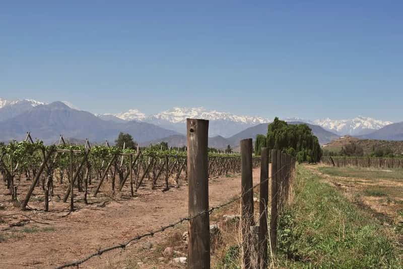 Tarija, Bolivia: The Wine Country Few Visitors Reach (Image Credits: Pexels)