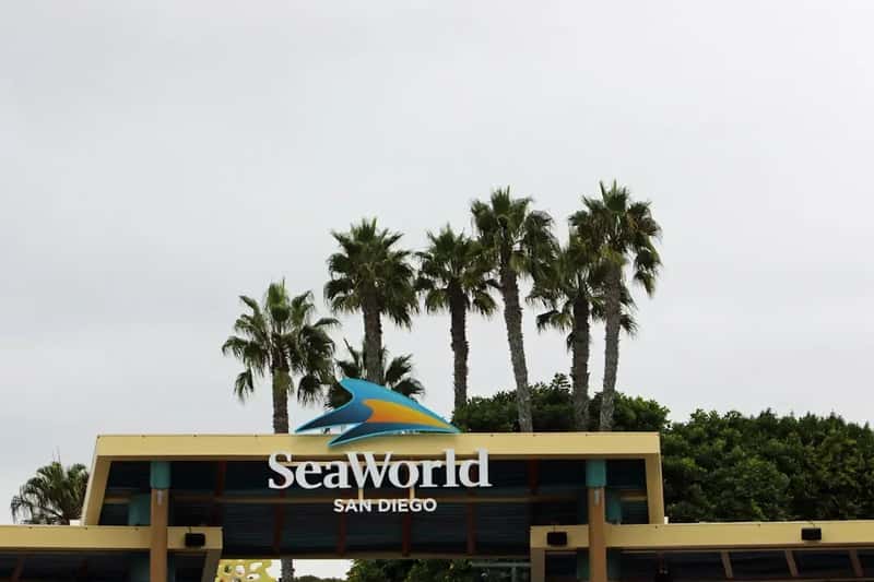 SeaWorld Orlando - Marine Life Meets Theme Park Thrills (Image Credits: Unsplash)