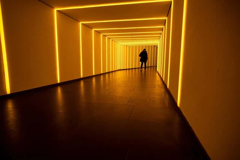 4. There's a hidden world running beneath the park (Image Credits: Pixabay)