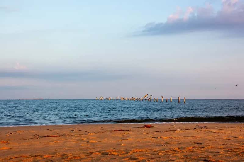 7. Virginia Beach, Virginia - 38 Miles of Coast at a Price That Surprises Everyone (Image Credits: Unsplash)