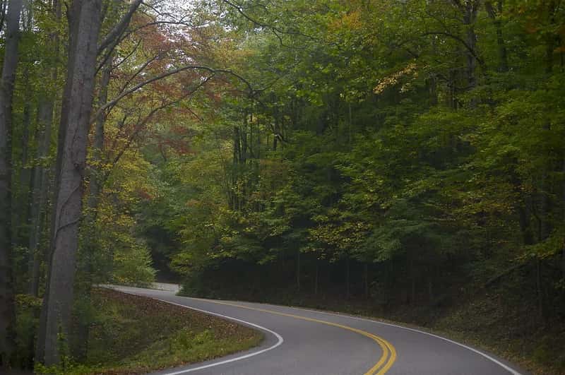 1. US Route 129 - "The Tail of the Dragon," North Carolina/Tennessee (donna_0622, Flickr, CC BY 2.0)