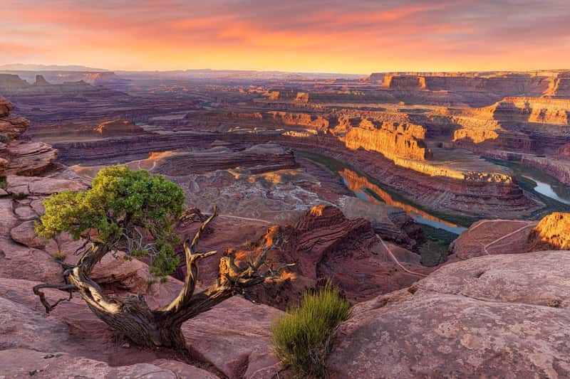 Dead Horse Point State Park: Drama That Rivals the Grand Canyon (Image Credits: Shutterstock)