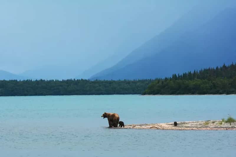 Katmai National Park & Preserve, Alaska (Image Credits: Unsplash)