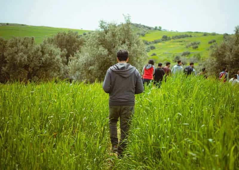 Group tours often create a strange kind of isolation (Image Credits: Pexels)
