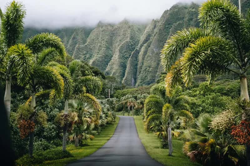 Hawaii: Paradise Has a Price (Image Credits: Unsplash)