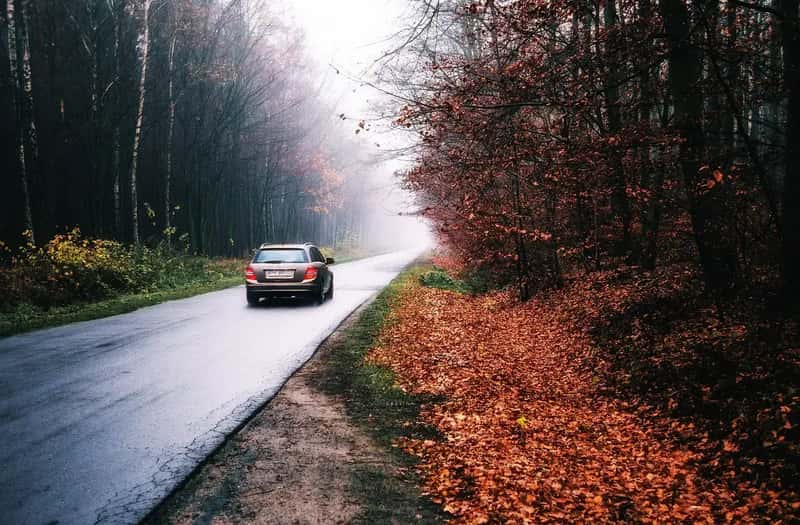 #2 - They Travel in Shoulder Season - Every Single Time (Image Credits: Pixabay)
