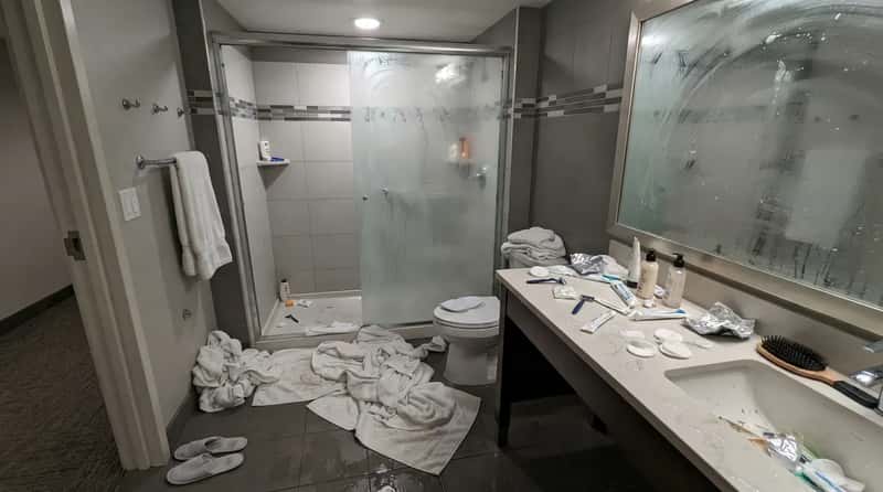 #6 - The Guest Who Leaves the Shower Suite Looking Like a Crime Scene (Image Credits: Gemini)