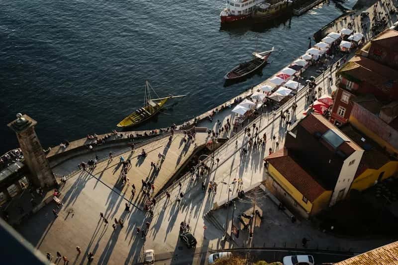 What This Migration Really Means (Image Credits: Unsplash)