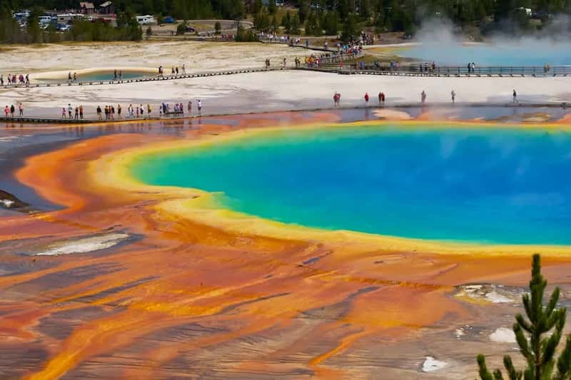 #4 - Yellowstone National Park: Where Every Traffic Jam Has Antlers (Image Credits: Unsplash)