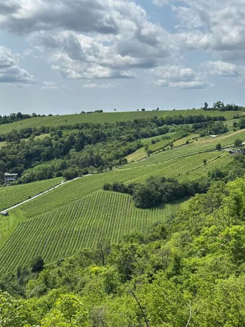 9. Austria (Image Credits: Pexels)