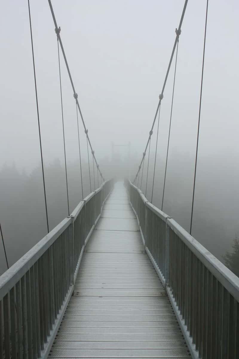 Driving or riding across a long, high bridge (Image Credits: Unsplash)