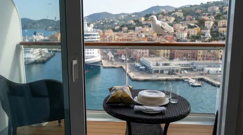 #4 - Snacks Stay Covered Because the Seagulls Are Watching (Image Credits: Gemini)