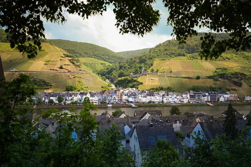 Mosel, Germany (Image Credits: Unsplash)