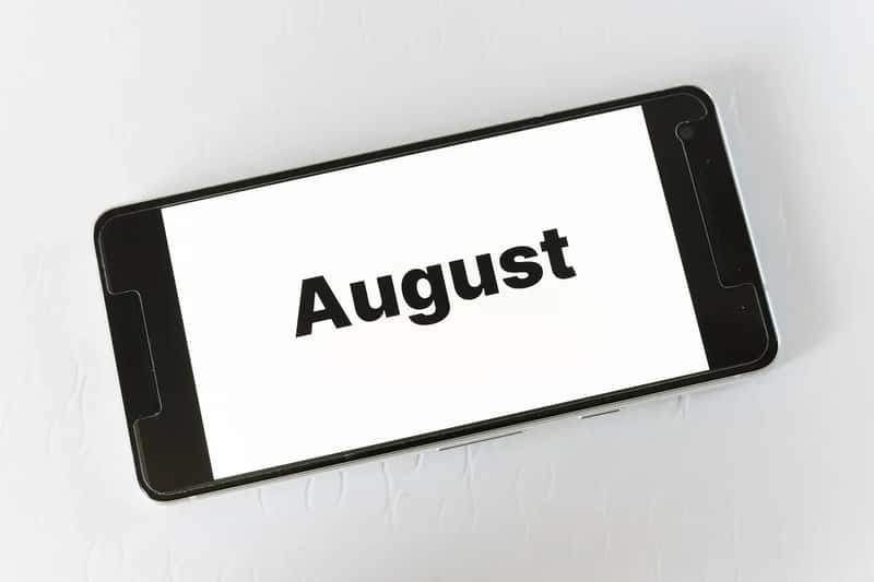 3. Fly in August, Not March (Image Credits: Pixabay)