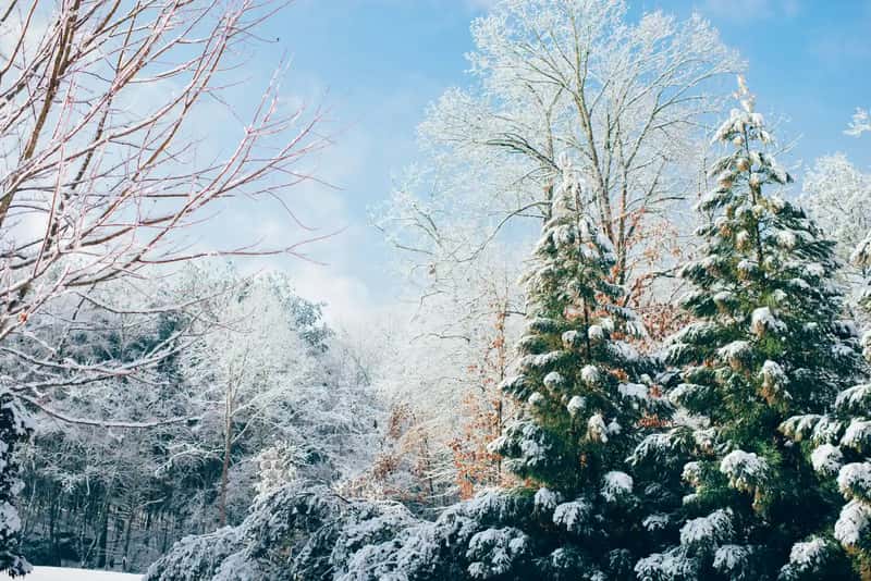 Will It Snow? Think Geography, Not Headlines (Image Credits: Unsplash)