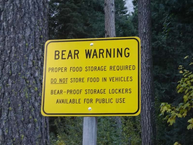 28. Treating a National Park Like a City Park (ground.zero, Flickr, CC BY 2.0)