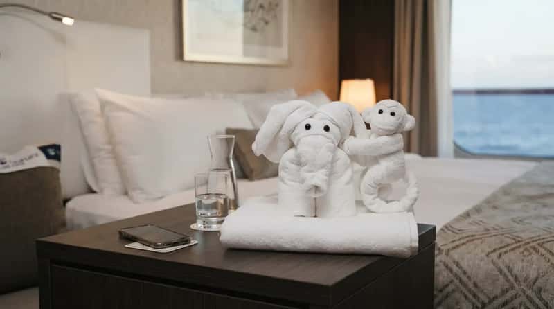 #11 - Towel Animals, Adjusted to Your Taste (Image Credits: Gemini)
