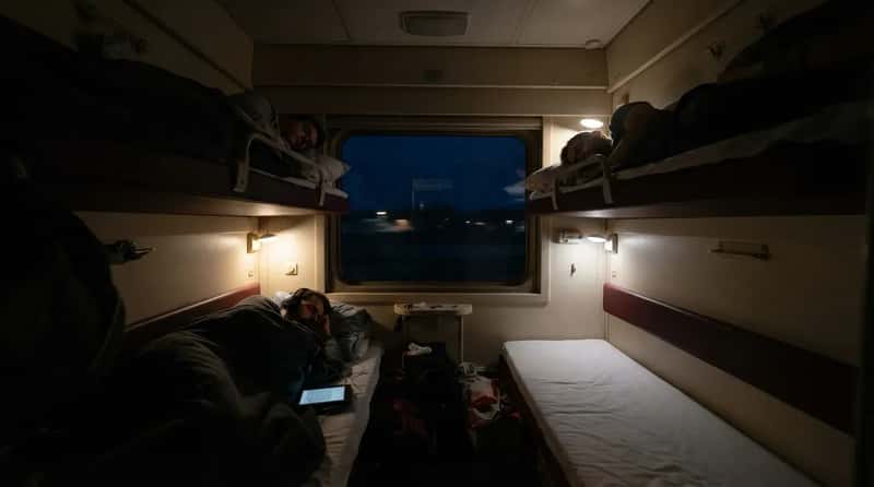 #3 - They Follow the Unspoken Curfew (Image Credits: Gemini)