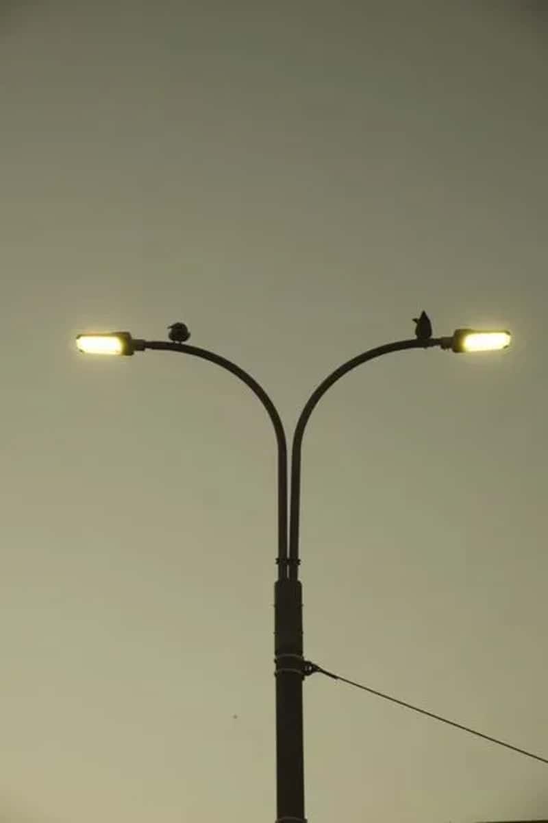 #3 - You Had to Be Home When the Streetlights Came On - Or Else (Image Credits: Pexels)