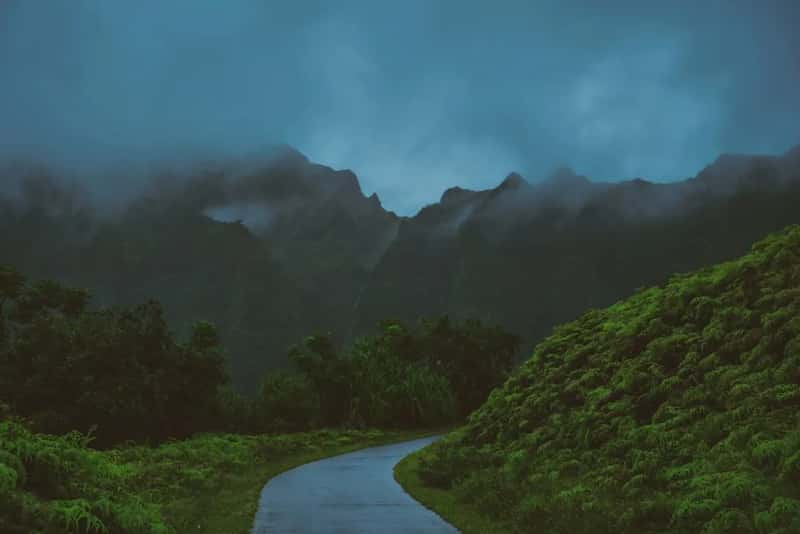 How Much Rain Actually Fell (Image Credits: Unsplash)