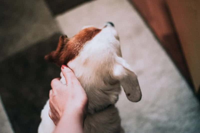 1. Don't touch anyone's head (Image Credits: Pexels)