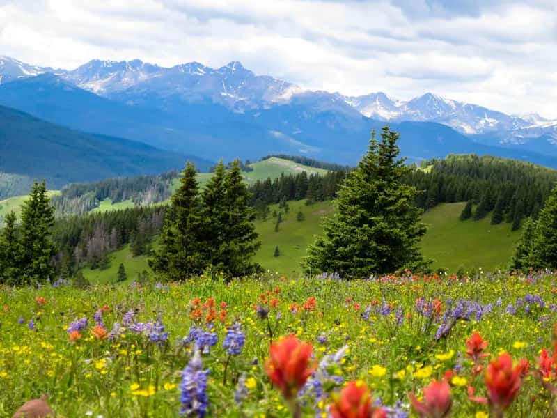 Crested Butte, Colorado (Image Credits: Unsplash)