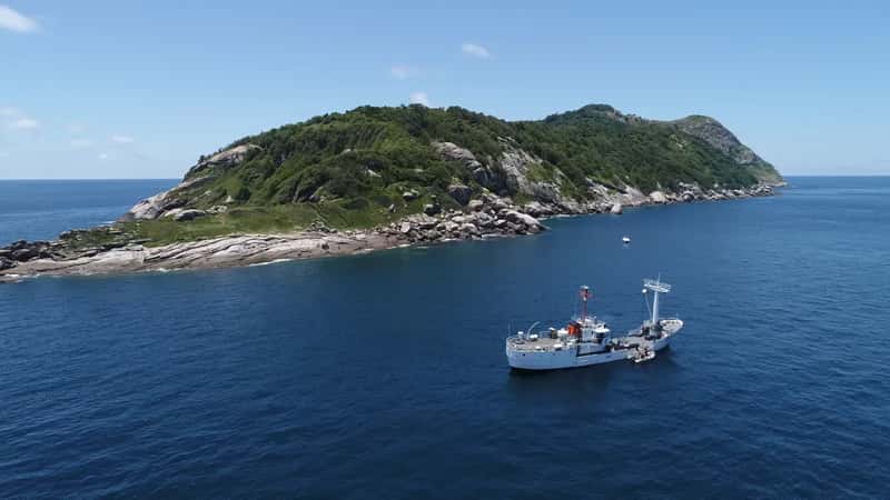 Ilha da Queimada Grande (Snake Island), Brazil: Where Vipers Rule (Image Credits: Wikimedia)