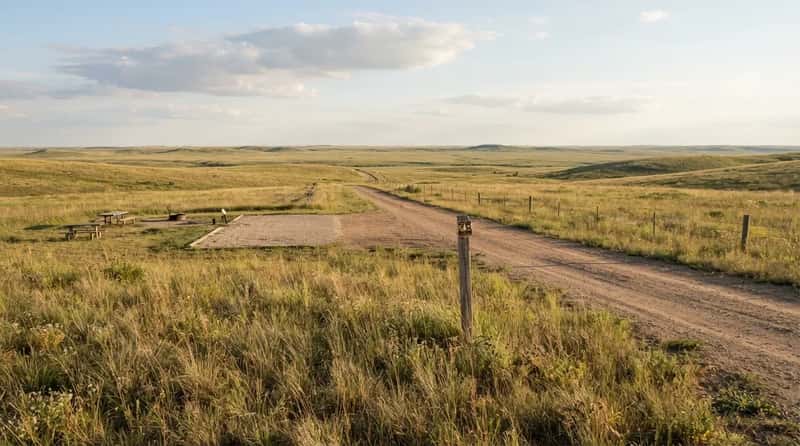 #8 - The National Grassland Fee Almost Everyone Forgets Exists (Image Credits: Gemini)