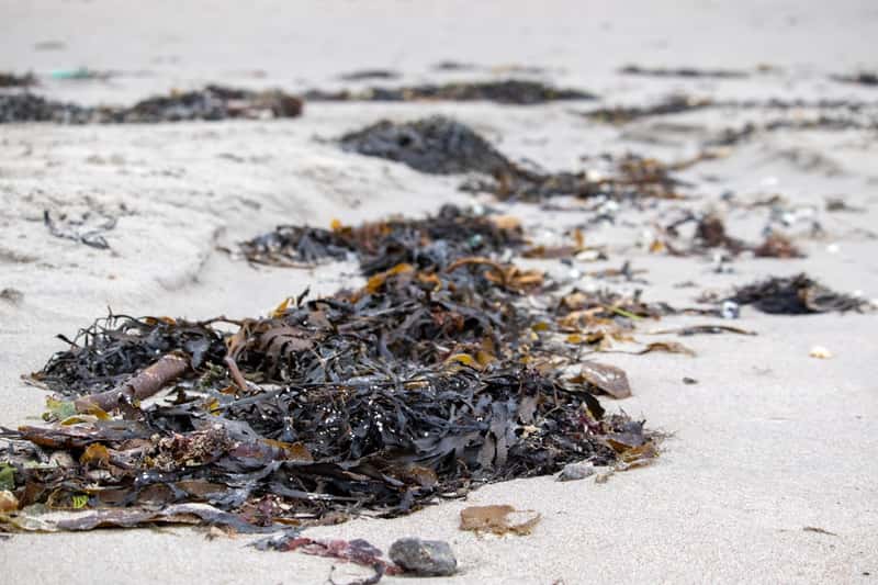 Environmental Degradation Has Accelerated (Image Credits: Unsplash)