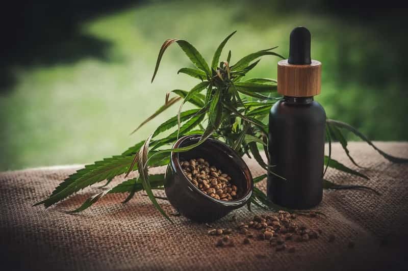 CBD and Cannabis Products (Image Credits: Pixabay)