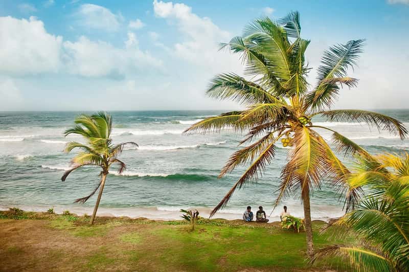 Sri Lanka: Ayurveda, Tea Hills and Unhurried Coasts (Image Credits: Pixabay)