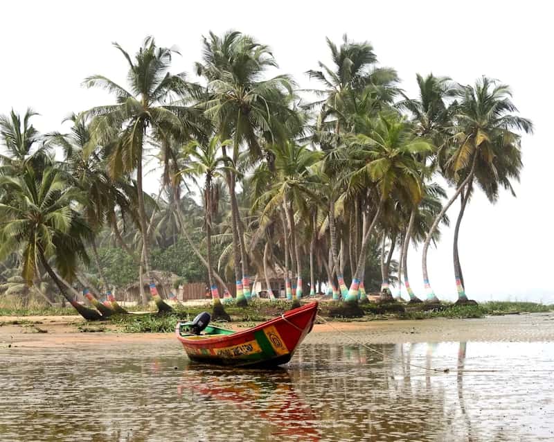 2. Ghana: reliable beans, a chocolate identity still forming (Image Credits: Unsplash)