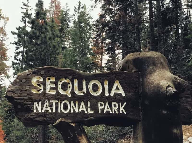 1. Sequoia & Kings Canyon National Park, California (Image Credits: Pexels)