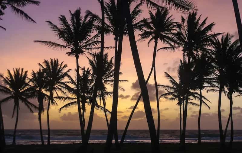 Marshall Islands and Tuvalu: Rounding Out the Top Four (Image Credits: Unsplash)
