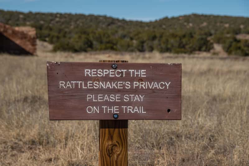 Practice Prevention Through Awareness (Image Credits: Shutterstock)
